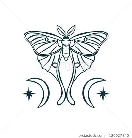Luna moth hand drawn illustration isolated on white 120027840