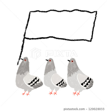 帶有白旗的鴿子 120028033