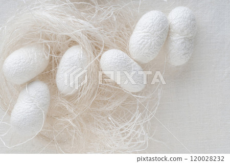 silk production cocoons background with copy space silk production cocoons background with copy space 120028232