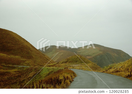A noisy depiction of the changing September scenery on Rebun Island, Hokkaido 120028285