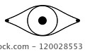 Eye line icon logo symbol 120028553