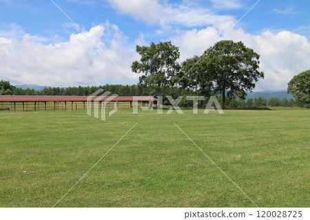 牧場 牧場 120028725