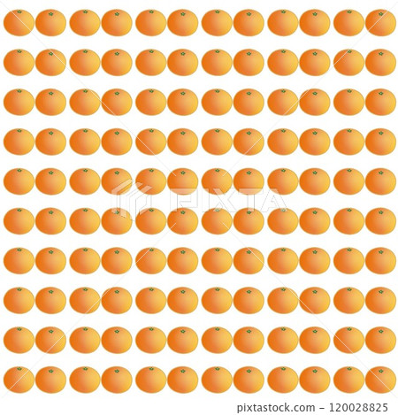 Tangerine wallpaper illustration 120028825