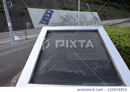 Shingenzuka 120028954