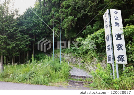 Shingenzuka 120028957
