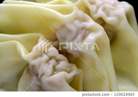 Wonton 120028985