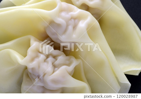 Wonton Wonton 120028987