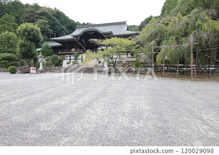 Omi Jingu 120029098
