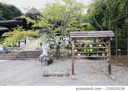 Omi Jingu Omi Jingu 120029106
