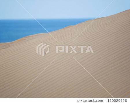 Sand textured pattern with copy space close up in Maspalomas, Gran Canaria. Abstract background wallpaper. Sand waves in a desert dune at the background of the sea Sand textured pattern with copy space close up in Maspalomas, Gran Canaria. Abstract background wallpaper. Sand waves in a desert dune at the background of the sea 120029358