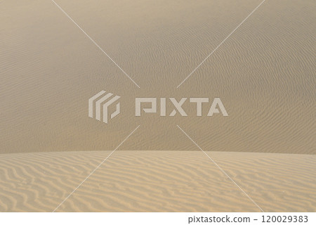 Sand textured pattern with copy space. Abstract background wallpaper. Sand waves in a desert dune Sand textured pattern with copy space. Abstract background wallpaper. Sand waves in a desert dune 120029383