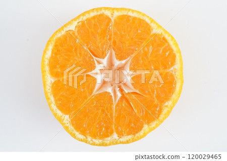 Mandarin oranges [Ten] Produced in Wakayama Prefecture 120029465
