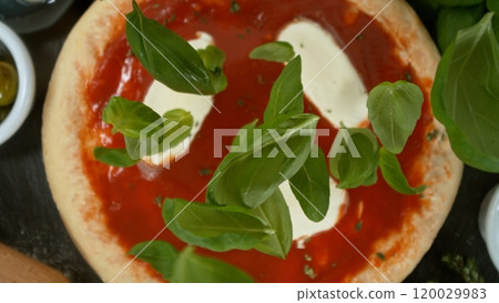 Super slow motion of falling fresh basil leaves on pizza dough with sugo, top down view Super slow motion of falling fresh basil leaves on pizza dough with sugo, top down view 120029983