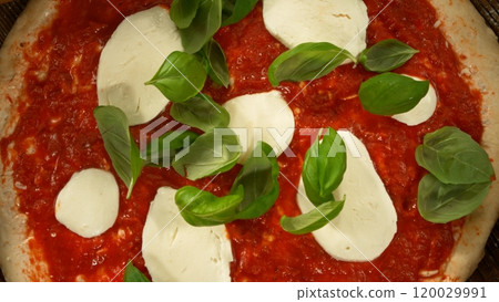 Super slow motion of falling fresh basil leaves on pizza dough with sugo, top down view Super slow motion of falling fresh basil leaves on pizza dough with sugo, top down view 120029991