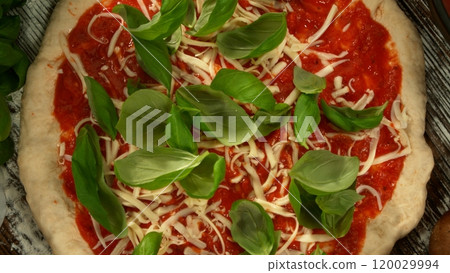 Super slow motion of falling fresh basil leaves on pizza dough with sugo, top down view 120029994