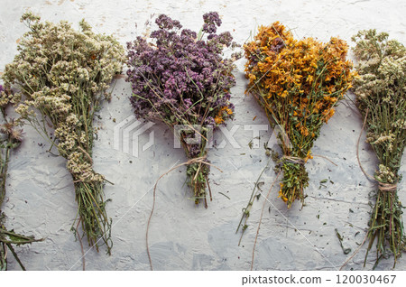 different wild medicinal dry herbs: white yarrow herb blossoming, yellow tansy herb, lilac marjoram\oregano, St. John's wort at white background different wild medicinal dry herbs: white yarrow herb blossoming, yellow tansy herb, lilac marjoram\oregano, St. John's wort at white background 120030467