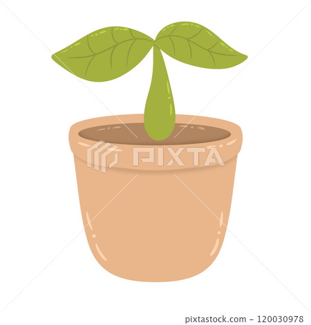 Green plants in pots 120030978