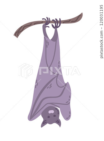 Simple illustration of bat hanging upside down 120031195