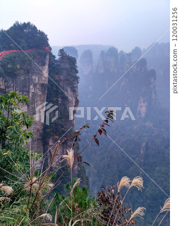 National Zhangjiajie Park in China is a breathtaking natural wonderland known for its towering sandstone pillars, lush forests, and deep ravines. It served as inspiration for the floating mountains National Zhangjiajie Park in China is a breathtaking natural wonderland known for its towering sandstone pillars, lush forests, and deep ravines. It served as inspiration for the floating mountains 120031256