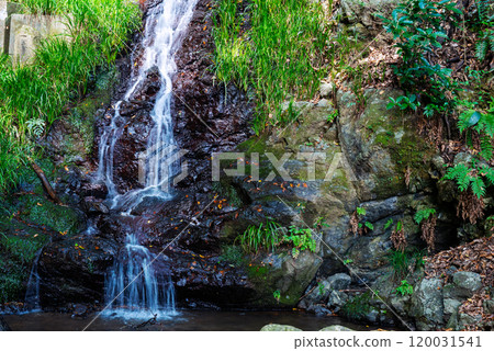 Minase Falls in Shimamoto 120031541