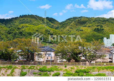 島本町風景 島本町風景 120031551