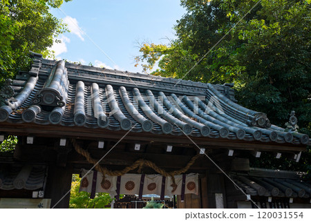 水瀨神社風景 水瀨神社風景 120031554