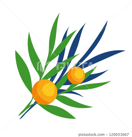 Ripe fruits on branch in flat design. Kwanzaa holiday harvest symbol. Vector illustration isolated. 120031667