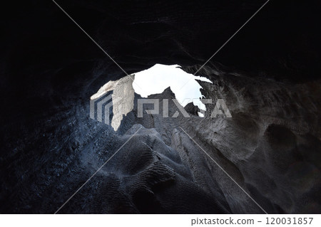 Giant burnt Sequoia Trees in Sequoia National Park, California, US wildlife landscape 120031857