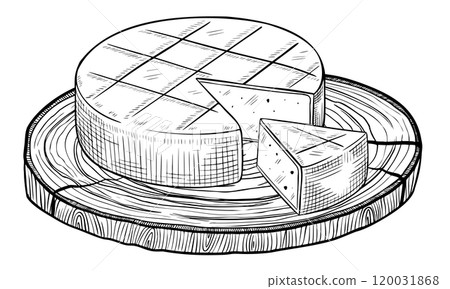 Cheese wheel on wooden cutting board vector illustration. Drawing with slice of farm dairy product painted by black inks. Linear etching of rustic food for cookery book and recipe. 120031868