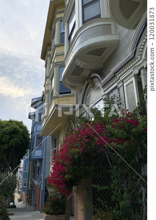 San Francisco, California, US, colorful houses on city streets 120031873