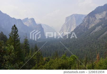 Yosemite national park, California mountains background, view of natural landscape, USA national parks wildlife 120031934