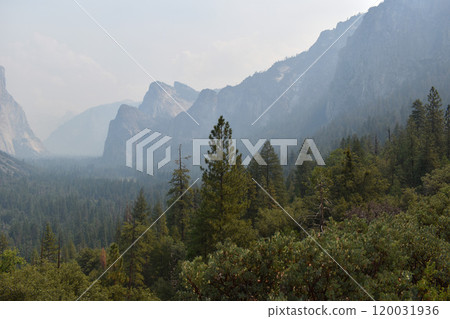 Yosemite national park, California mountains background, view of natural landscape, USA national parks wildlife Yosemite national park, California mountains background, view of natural landscape, USA national parks wildlife 120031936