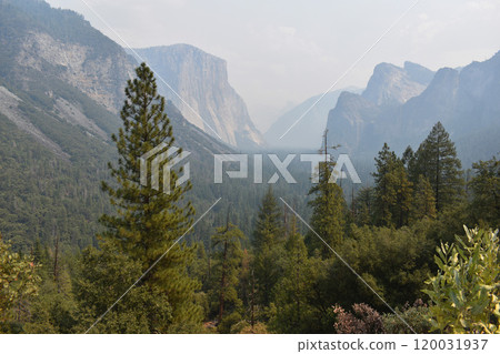 Yosemite national park, California mountains background, view of natural landscape, USA national parks wildlife 120031937