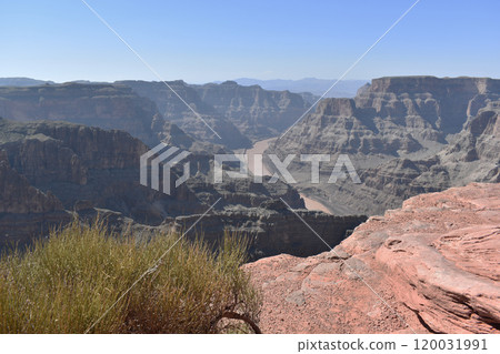 Grand Canyon, mountains and bushes background, US national parks wildlife landscape Grand Canyon, mountains and bushes background, US national parks wildlife landscape 120031991