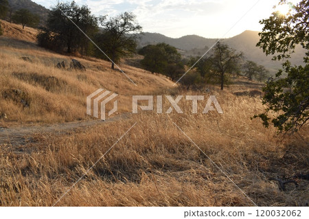 California hills background, view of mountains and river in the valley, natural landscape, wildlife at sunset, hills and plains 120032062