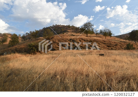 California hills background, view of mountains and river in the valley, natural landscape, wildlife at sunset, hills and plains 120032127
