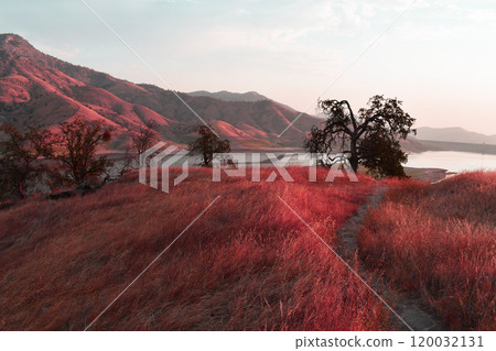 California hills background, view of mountains and river in the valley, natural landscape, wildlife at sunset, hills and plains California hills background, view of mountains and river in the valley, natural landscape, wildlife at sunset, hills and plains 120032131