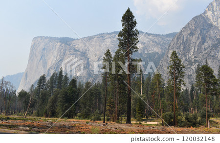 Yosemite national park, California mountains background, view of natural landscape, USA national parks wildlife 120032148