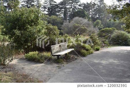 An empty bench in the park 120032391