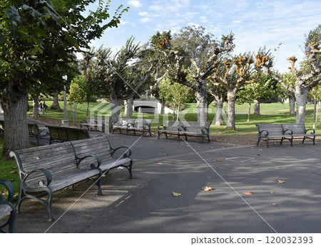 An empty bench in the park 120032393