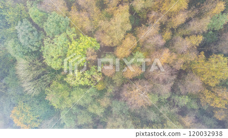 An Aerial View showcasing the Vibrant Forest Canopy beautifully adorned during Autumn season 120032938