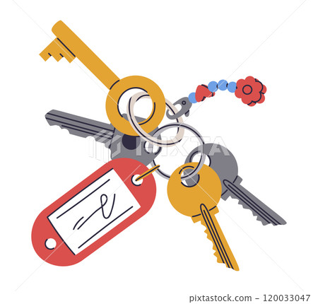 House door keys. Cartoon real estate property entrance keys bunch with keyring and plastic tag flat vector illustration. Apartment keys with keychain 120033047