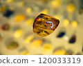 Single Ukrainian amber stone with inclusion of ancient insect 120033319