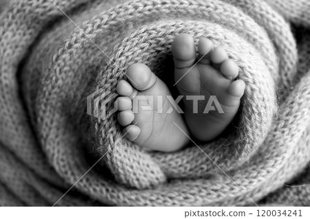 Foot of a newborn. Close up feet, toes, heels, feet of a newborn baby. Studio monochrome, vintage style, black and white macro photography. 120034241
