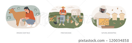 Organic food products isolated cartoon vector illustrations se 120034858