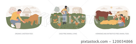 Organic livestock farming isolated cartoon vector illustrations se Organic livestock farming isolated cartoon vector illustrations se 120034866