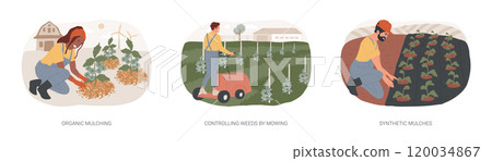 Weed management isolated cartoon vector illustrations se 120034867