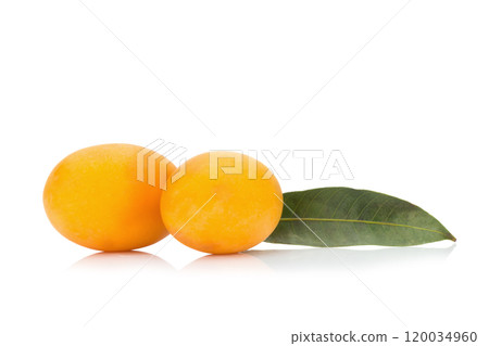 Marian plum Thai fruit isolated on white background. Mayongchid. Maprang. Marian Plum. Plum Mango 120034960