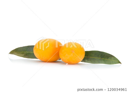 Marian plum Thai fruit isolated on white background. Mayongchid. Maprang. Marian Plum. Plum Mango 120034961