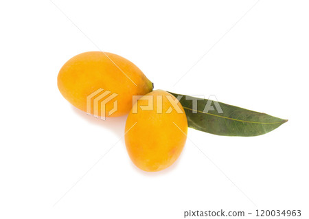 Marian plum Thai fruit isolated on white background. Mayongchid. Maprang. Marian Plum. Plum Mango 120034963